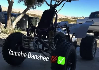 Window Tinting Services3